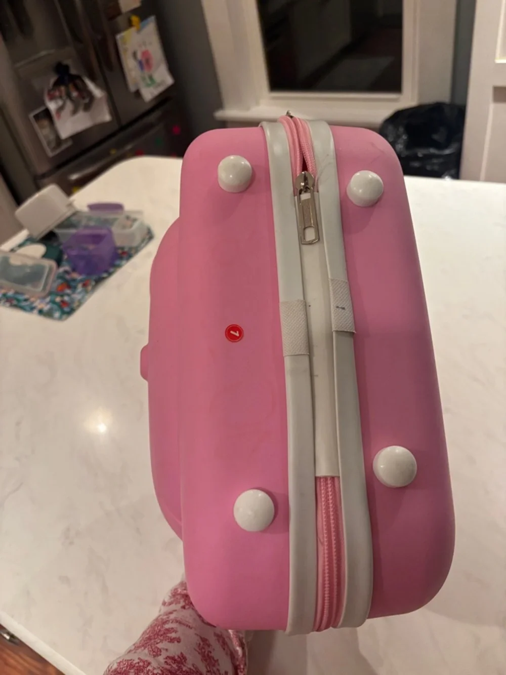 Hello Kitty Pink Character Carry Case